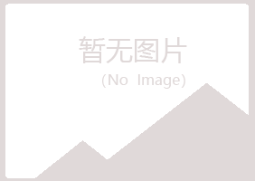 河北盼山能源有限公司